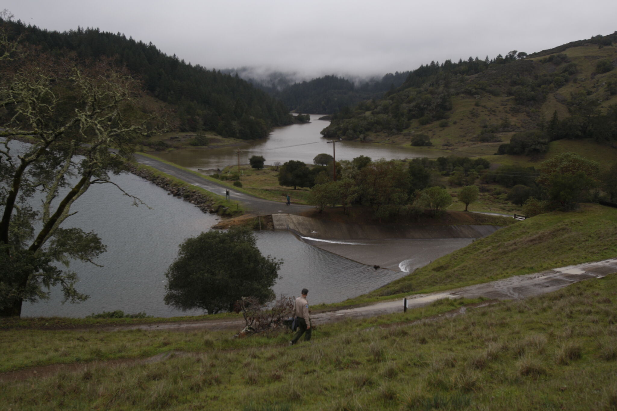 Bay Area water supply at 136% of normal for this time of year