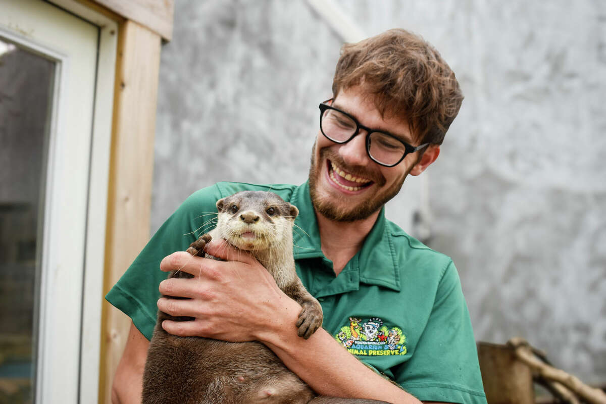 Zookeeper Will Whisennand holds his favorite friend, Bonnie, an Asian small-clawed otter. 