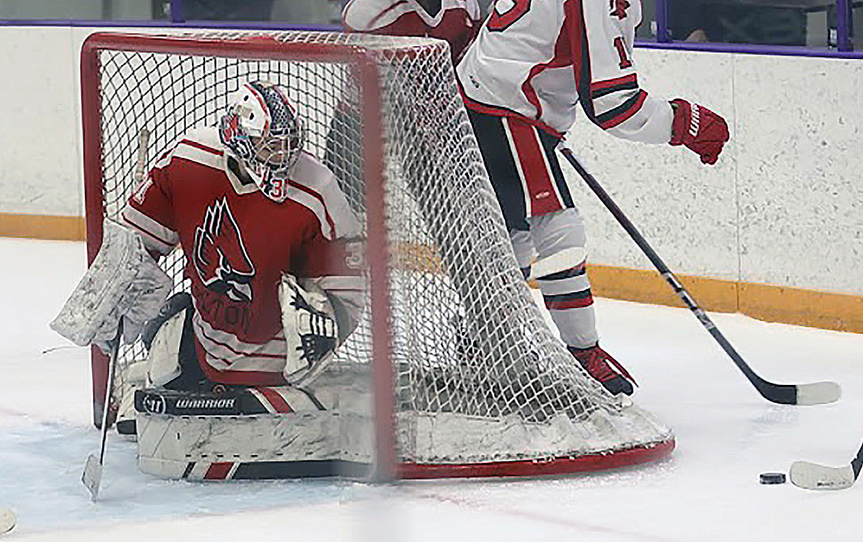 Redbirds start fast, blank Bethalto in hockey playoff opener