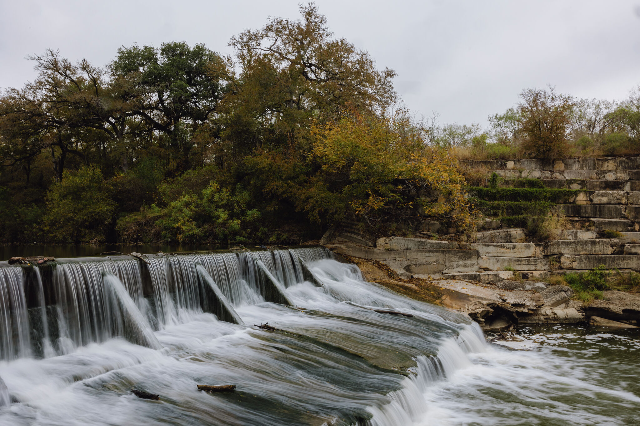 Wie die Beseitigung eines alten Dammes die Tierwelt des San Antonio River ...