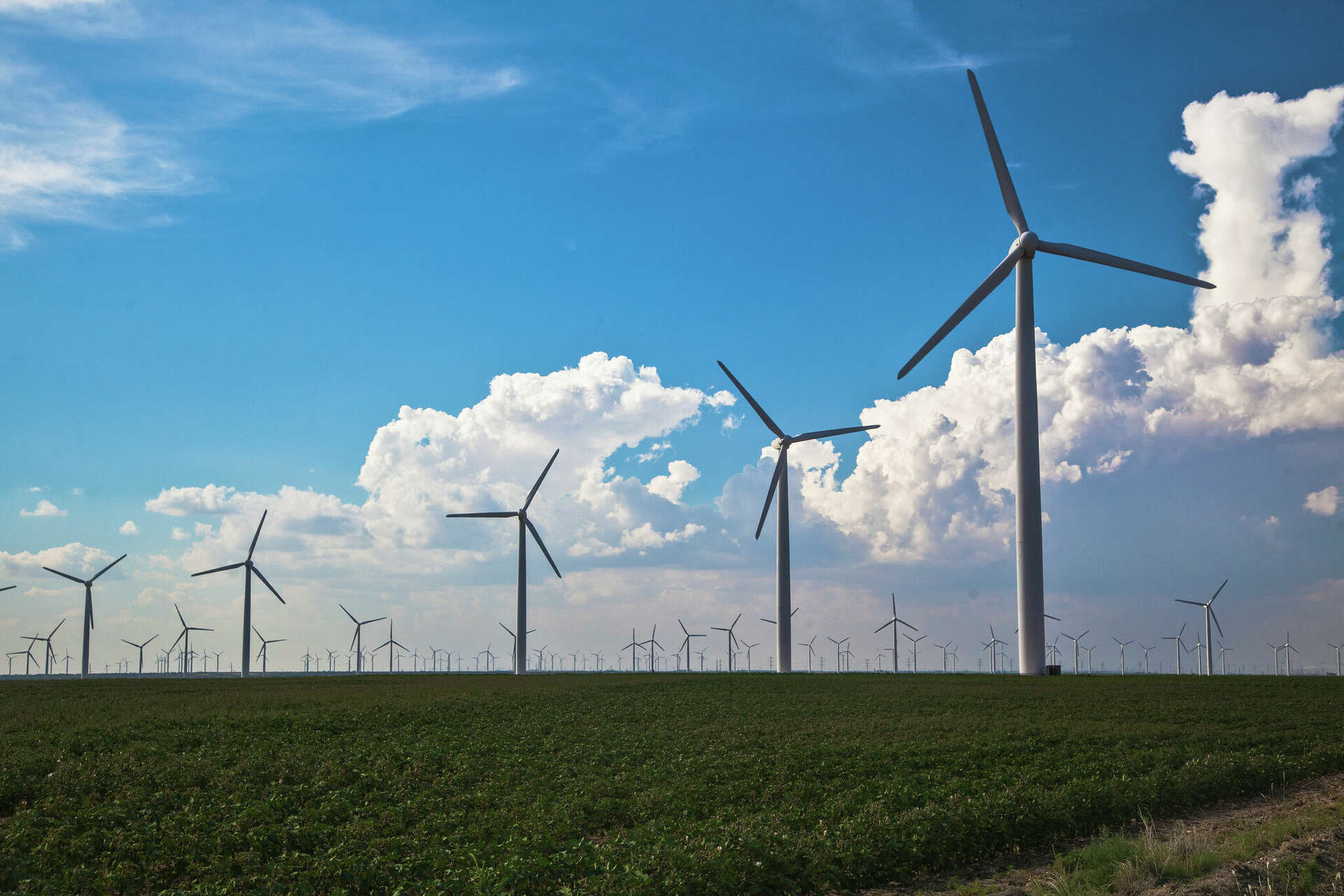 Bitcoin miner buys Texas wind farm to take it off power grid