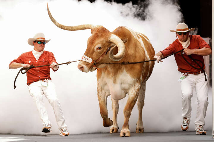 Texas fans petition to 'reinstate' Bevo at SEC Championship