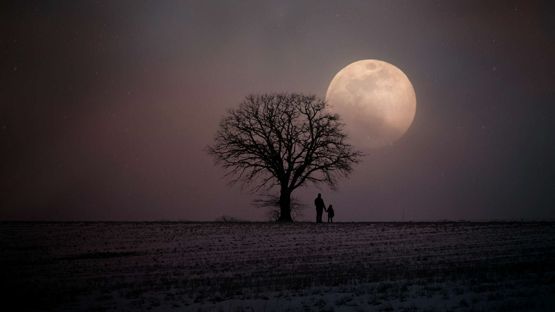 December 2024's Cold Moon and Black Moon: A celestial finale, image size:1920x1080