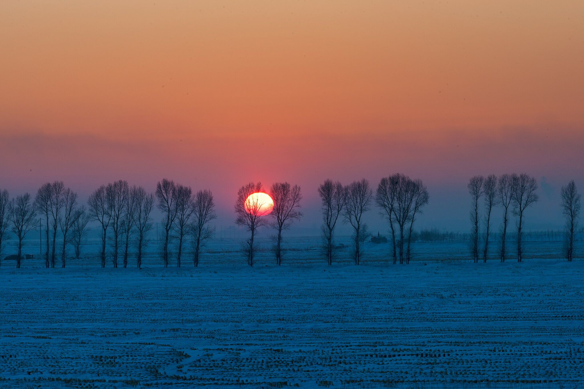 Winter solstice 2024 Embrace the longest night of the year