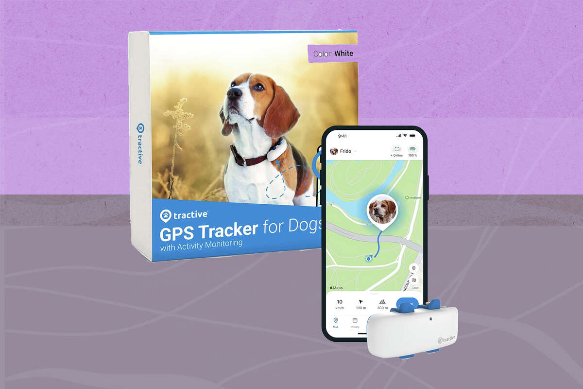 Track these savings on a GPS tracker for your dogs collar. Right now you can save $20.