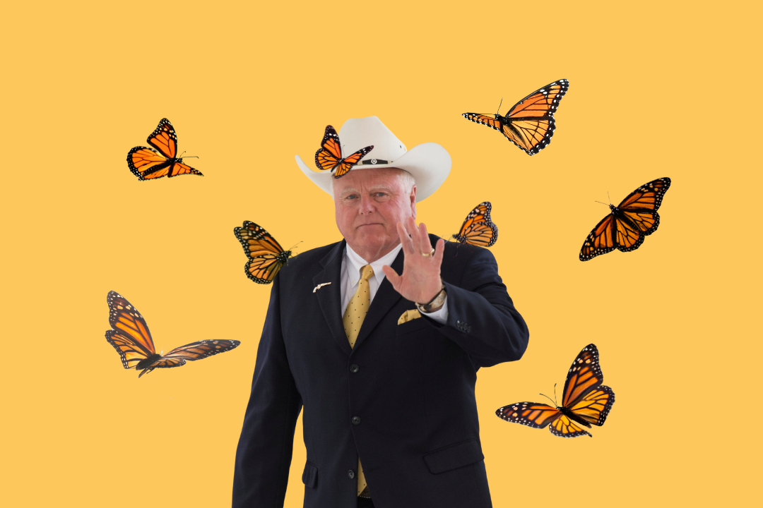 Sid Miller says monarch butterfly list will cripple Texas financial system