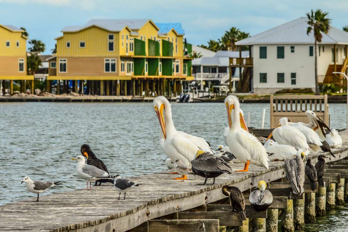 Rockport is a popular destination for nature tourists, but is increasingly grappling with difficult environmental issues.