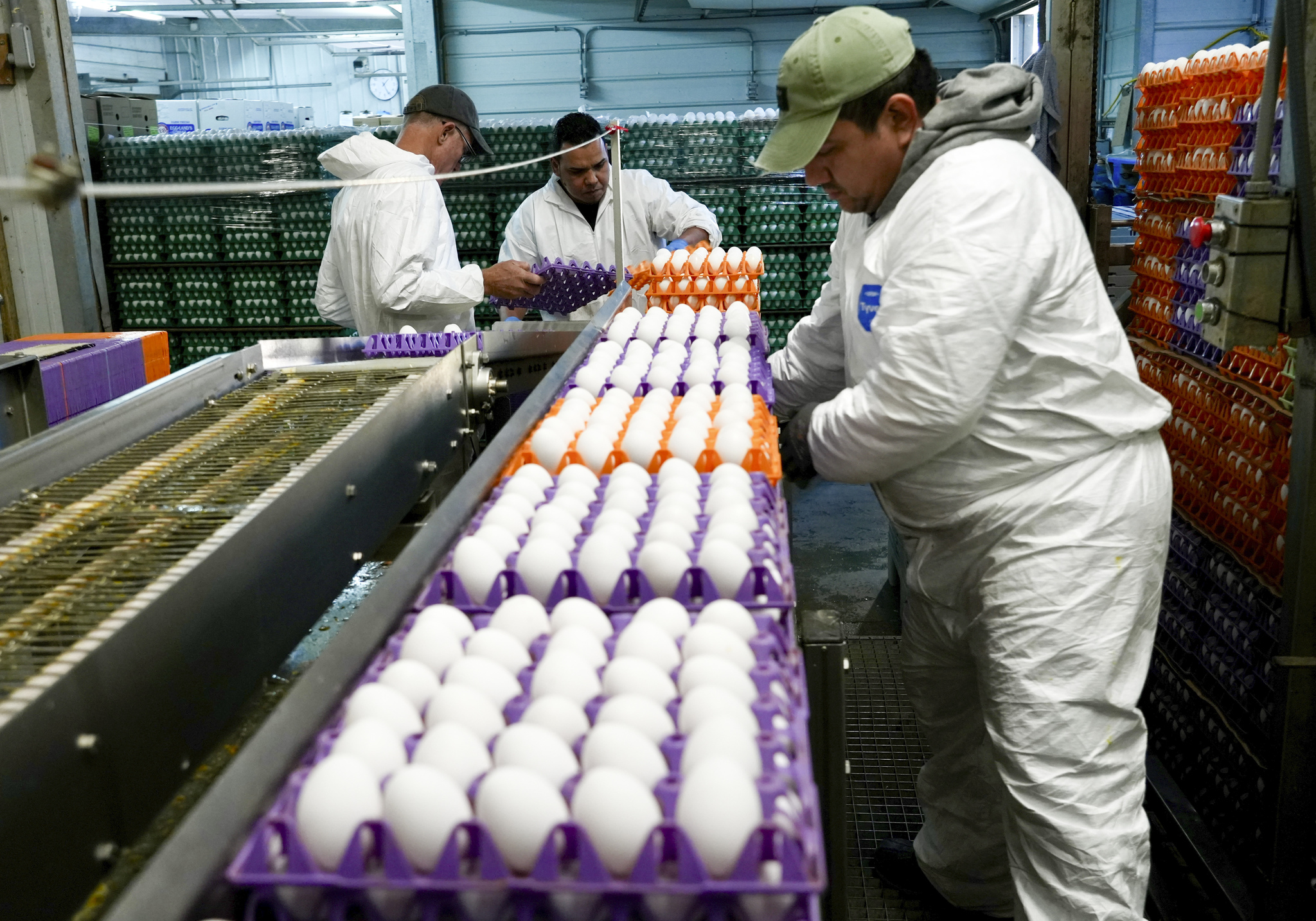 Bay Space grocery retail outlets restrict egg purchases amid scarcity