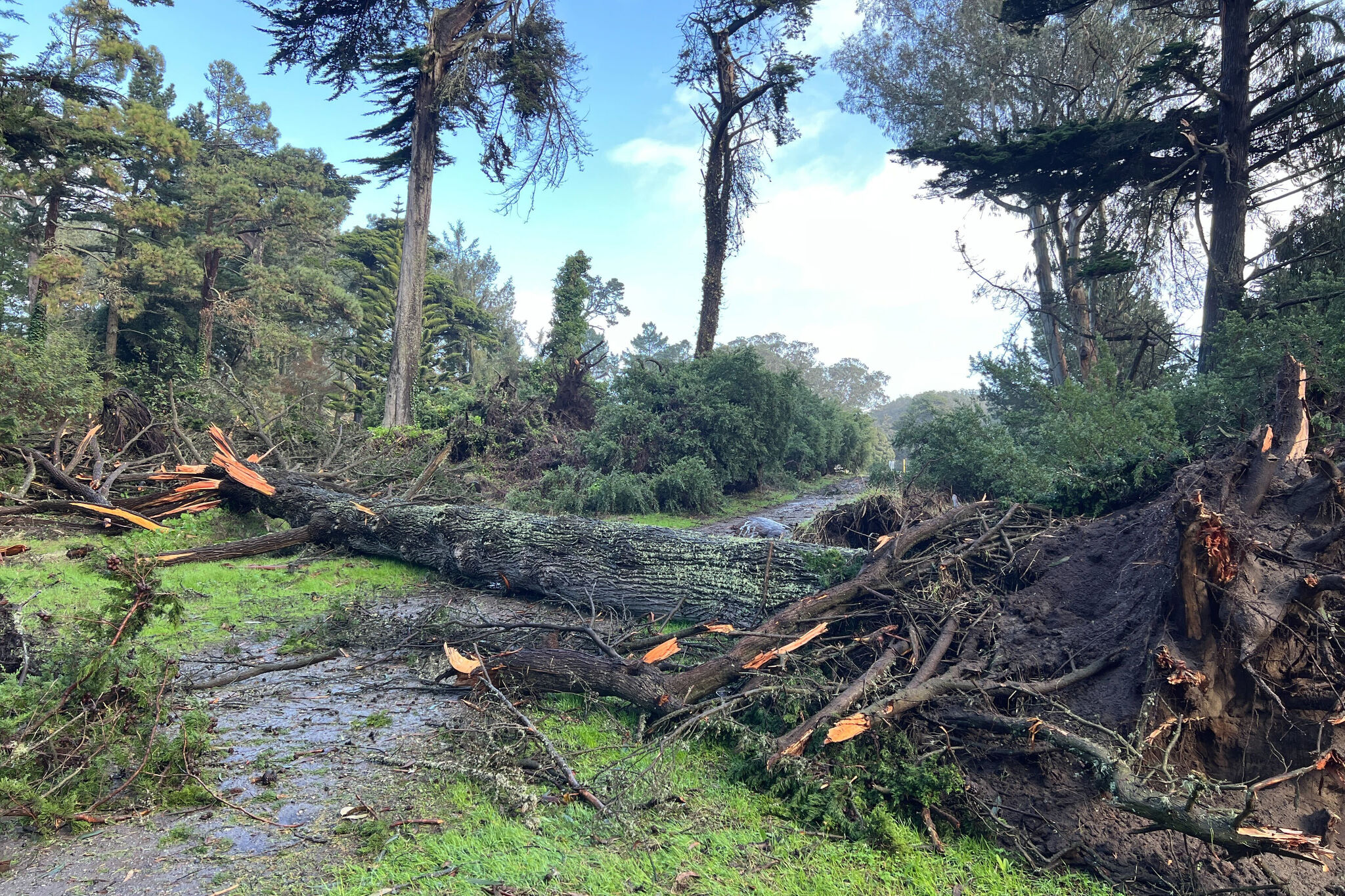 Bay Area reels from severe storm after S.F.’s first tornado warning