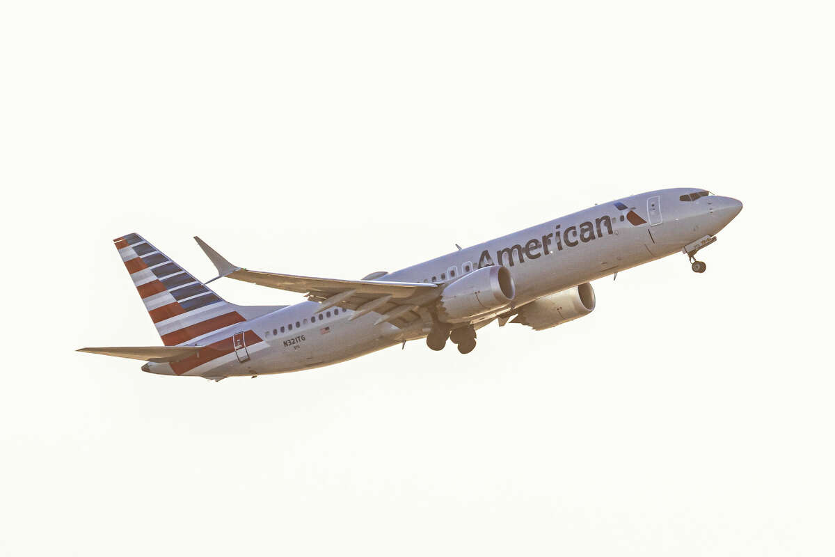 An American Airlines jet. An American flight recently had to make an emergency landing after a bird took out an engine.