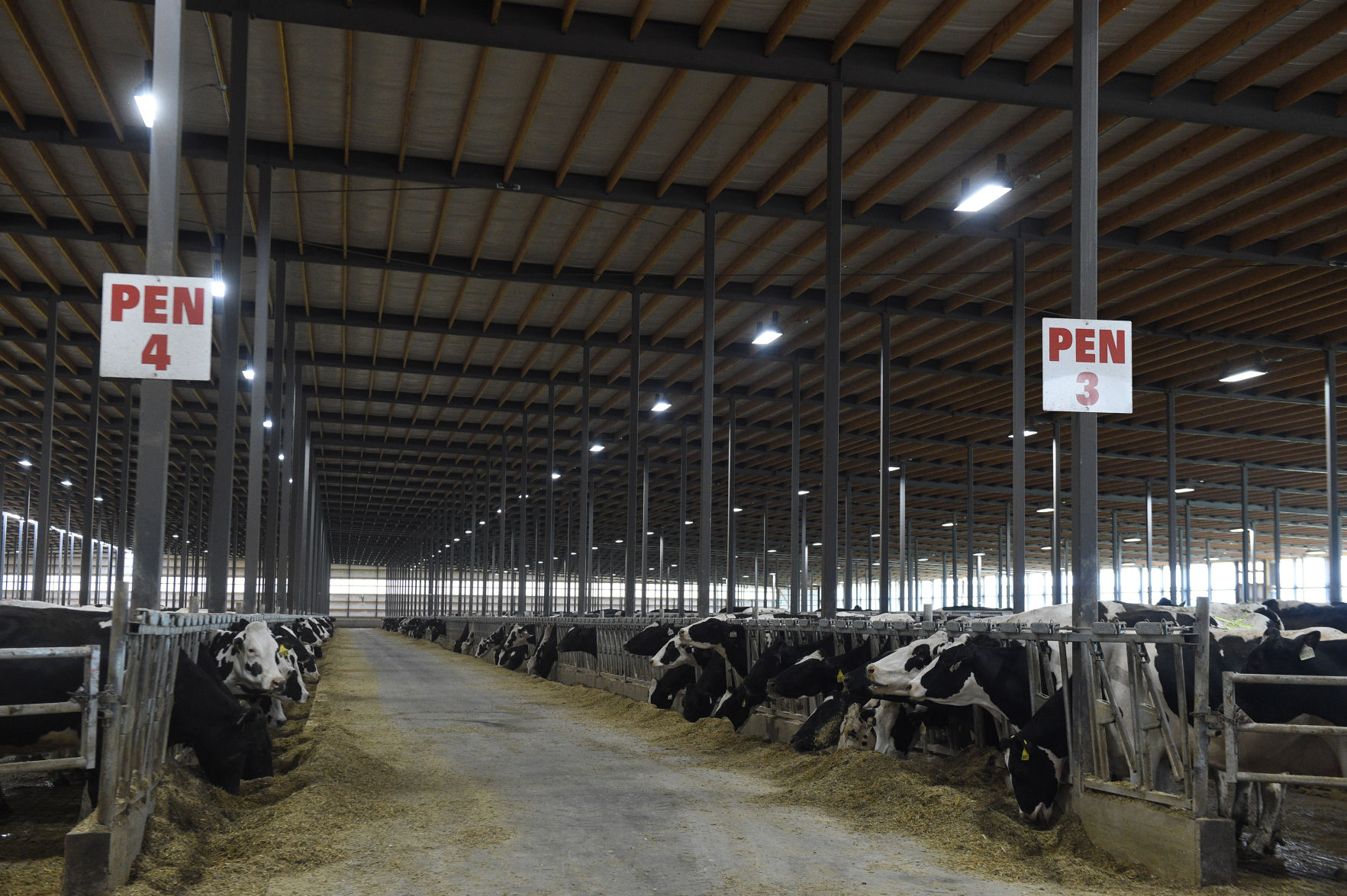 After lagoon fight, Somers approves Oakridge Dairy manure storage