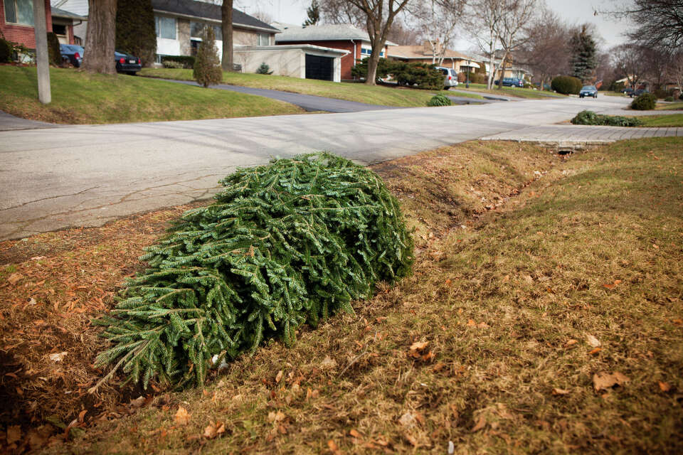 Where to recycle Christmas trees in the Texas Hill Country