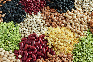 USDA Launches $2B specialty crop assistance program for 2025 producers