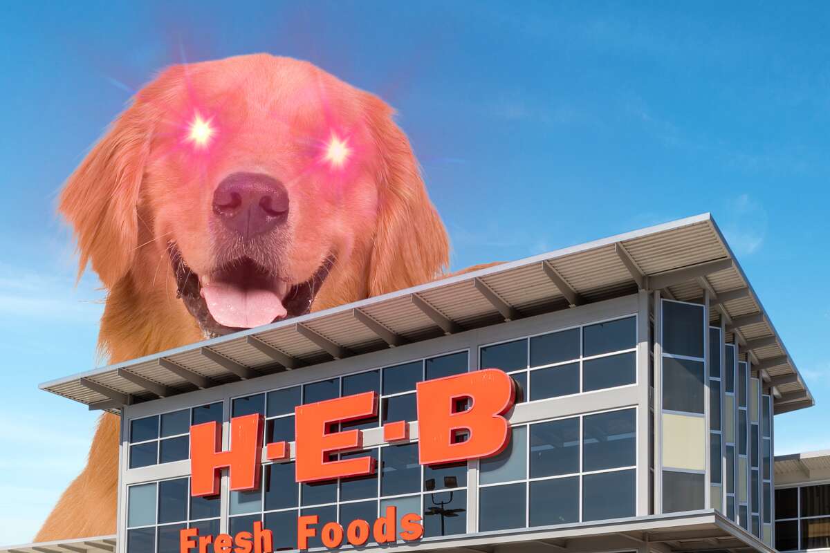 Dogs in stores are giving H-E-B shoppers a ruff time.