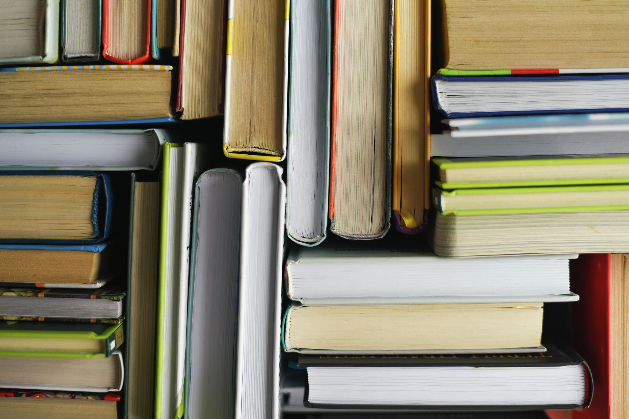 Best books by Hudson Valley authors released in 2024 Best books by Hudson Valley authors released in 2024