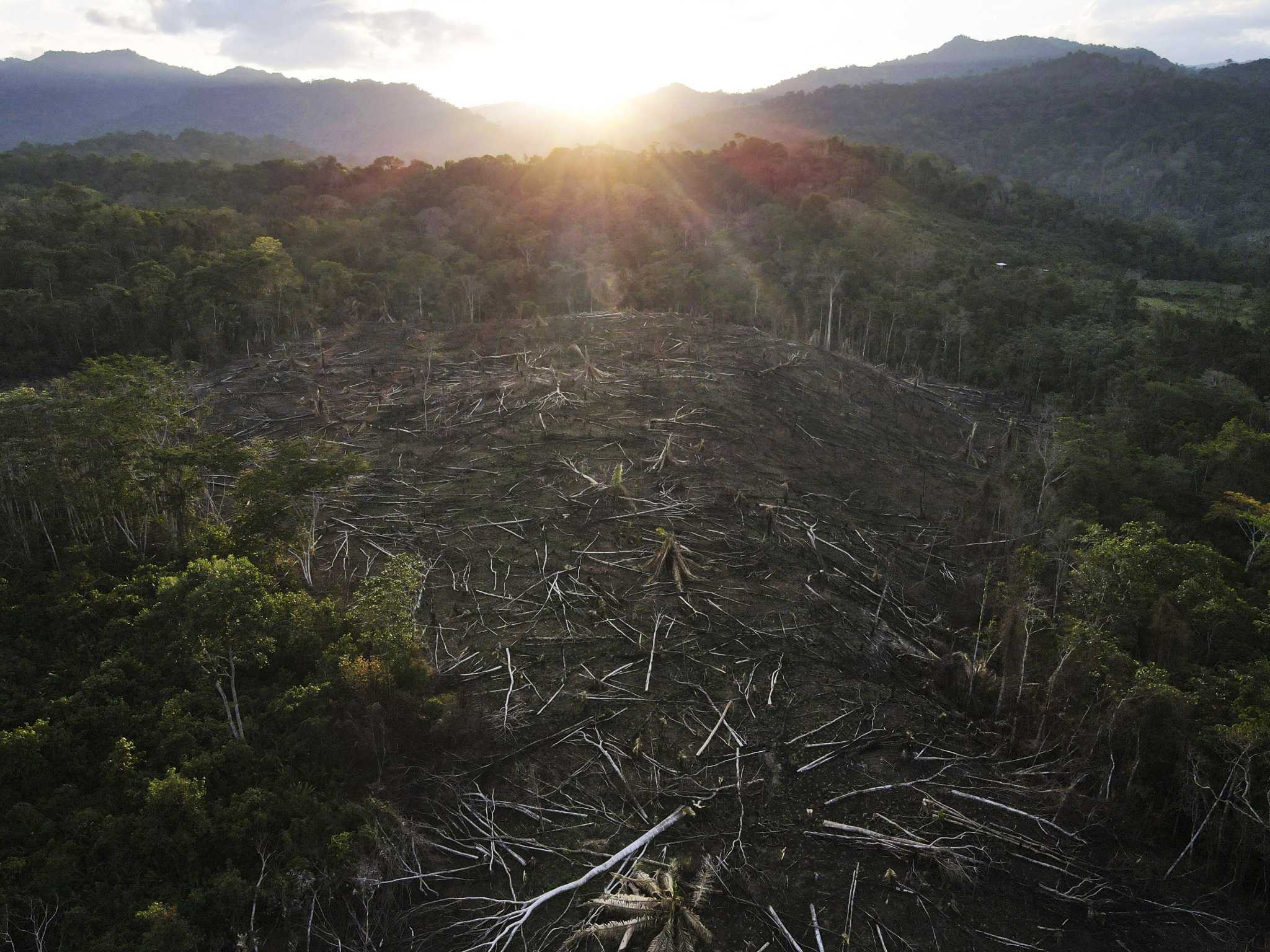 Amazon Indigenous Community Wins Latest Stage Of Court Battle For Lost 