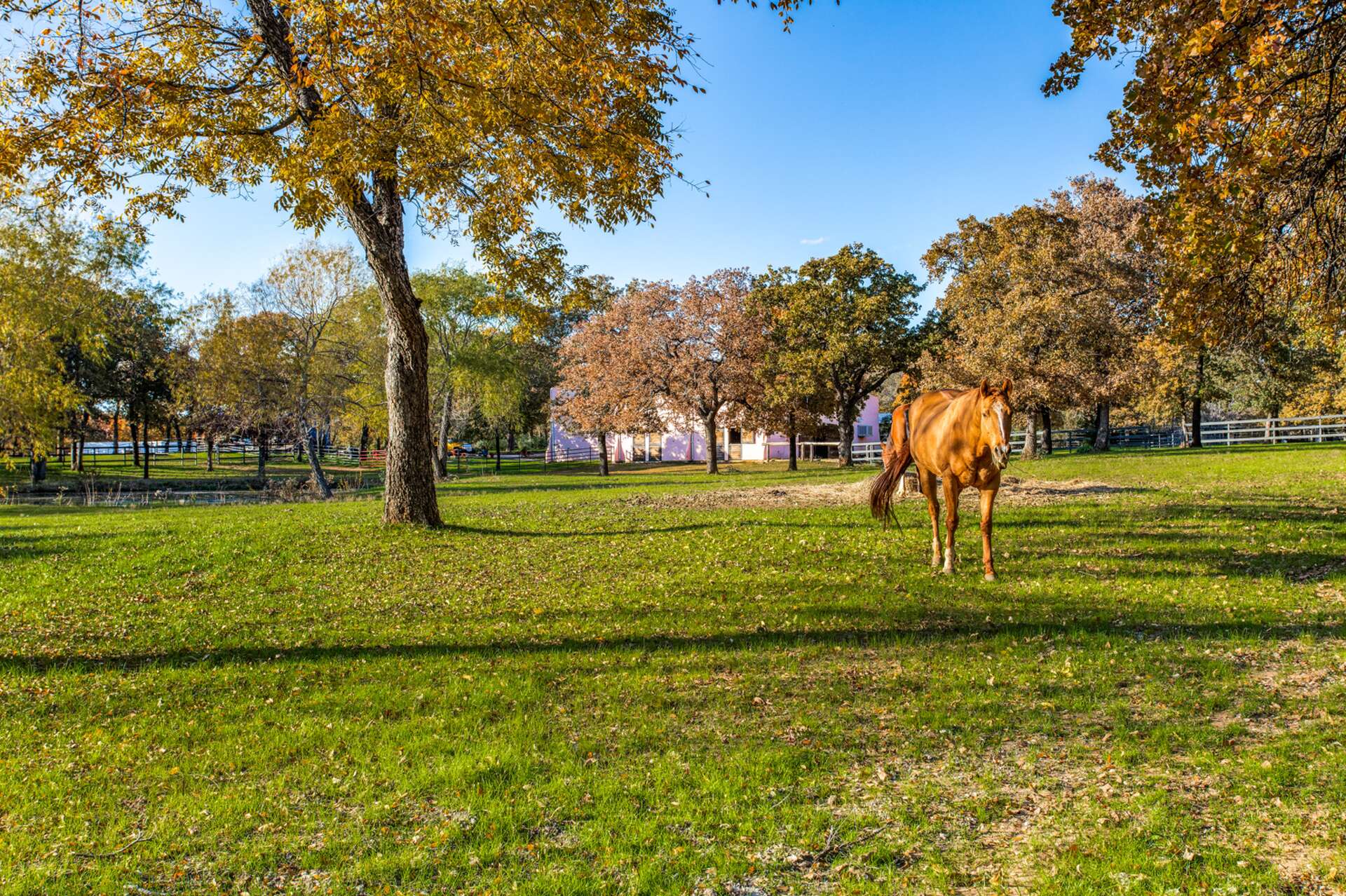 This $24M Texas property has its own private pond and peninsula