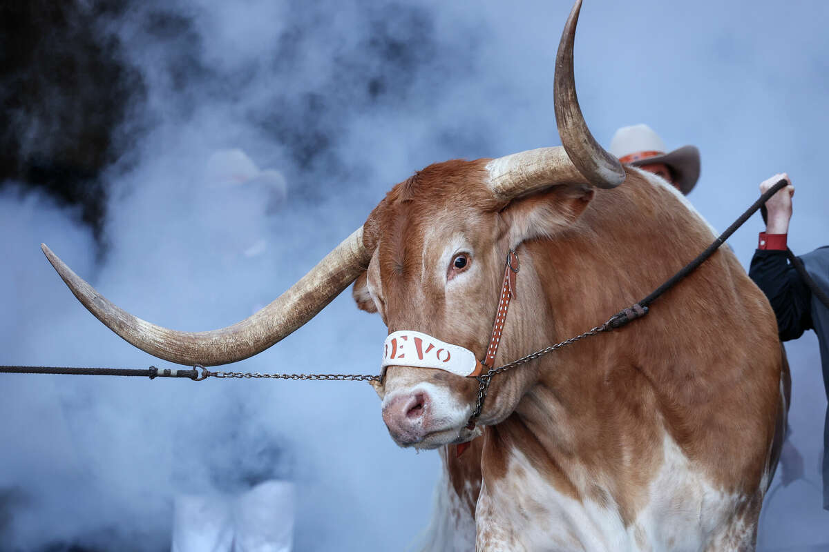 Bevo enters the field surrounded by smoke before the CFP First Round game between Texas Longhorns and Clemson Tigers on December 21, 2024, at Darrell K Royal - Texas Memorial Stadium in Austin, TX. 