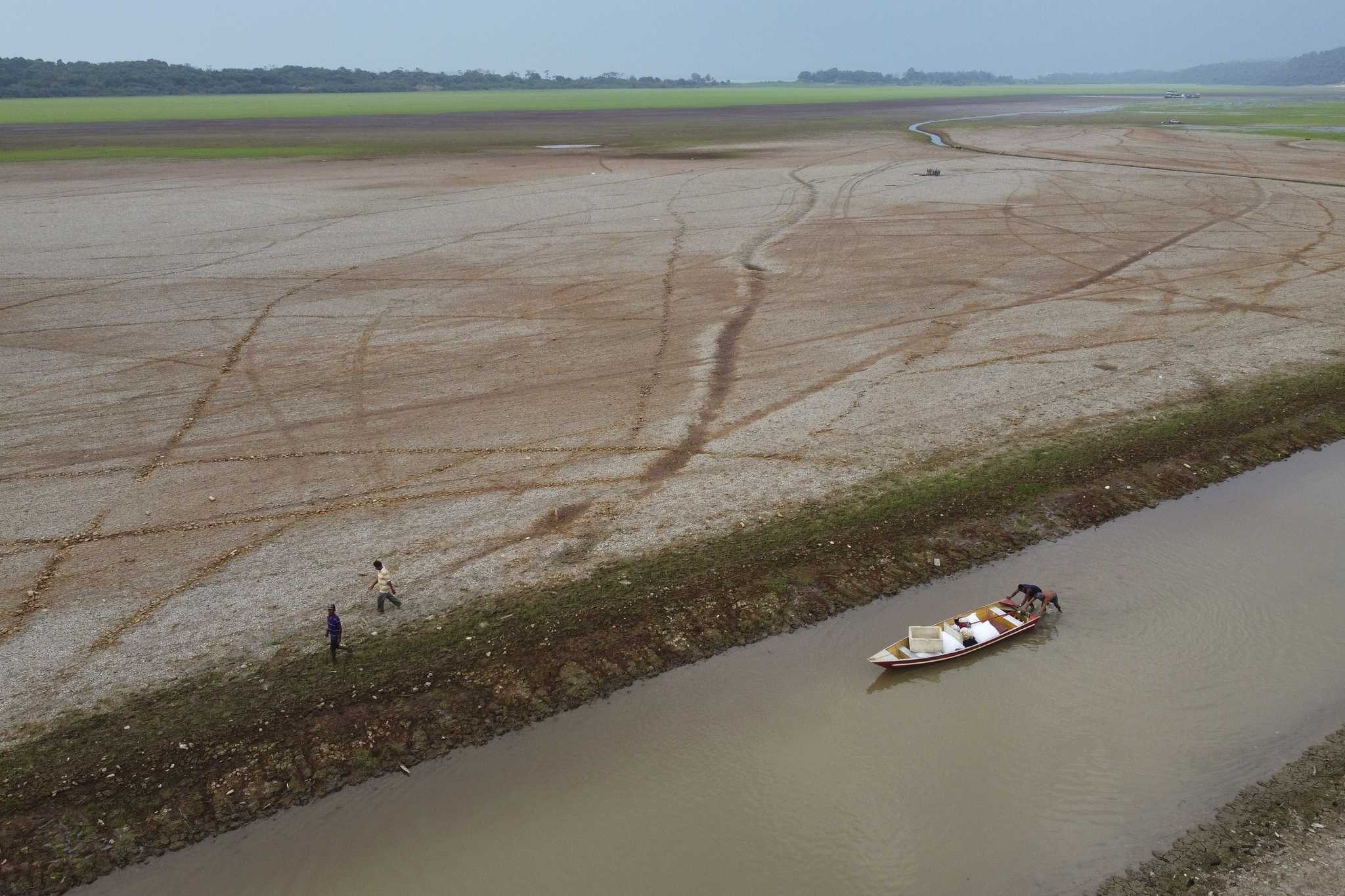 Drought, Fires And Deforestation Battered Amazon Rainforest In 2024