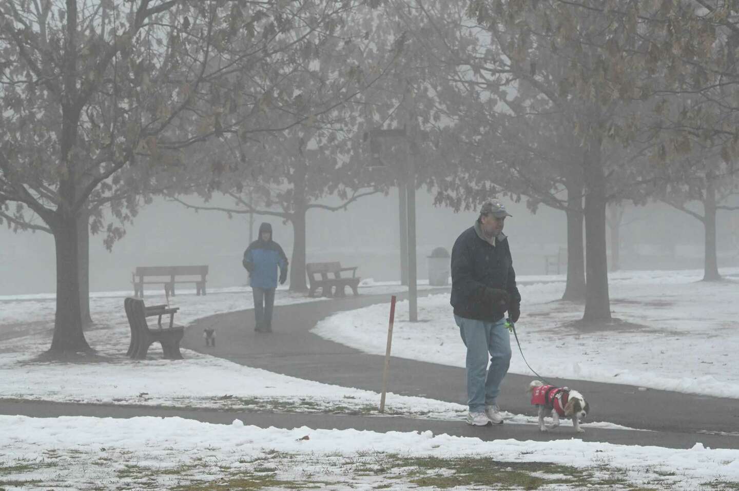 Fog lifting in Albany after overnight disruptions