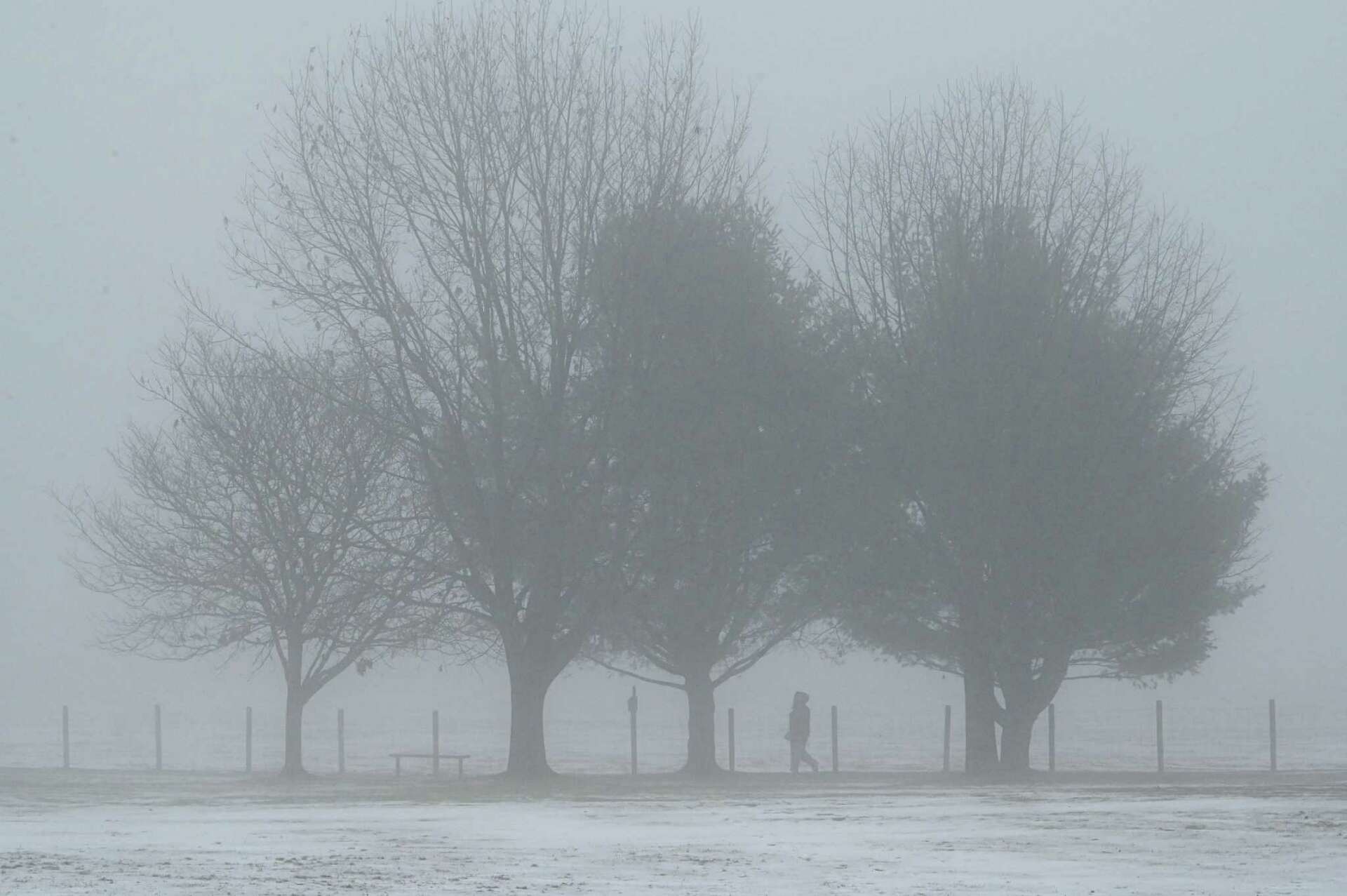 Fog lifting in Albany after overnight disruptions