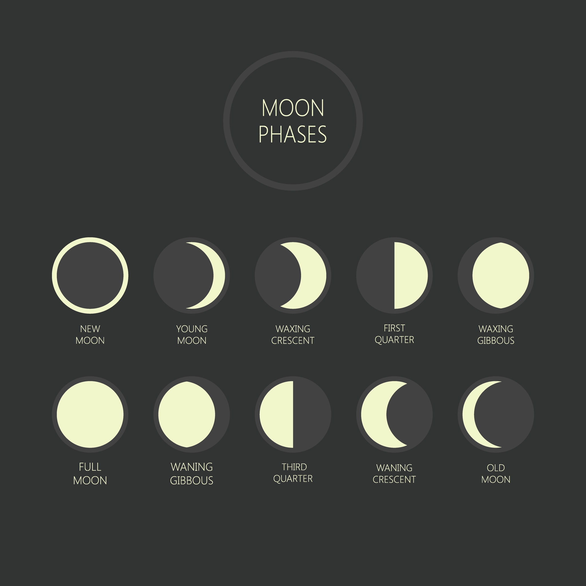 Lunar calendar 2025: Full moon and new moon dates, times and more, image size:2048x2048
