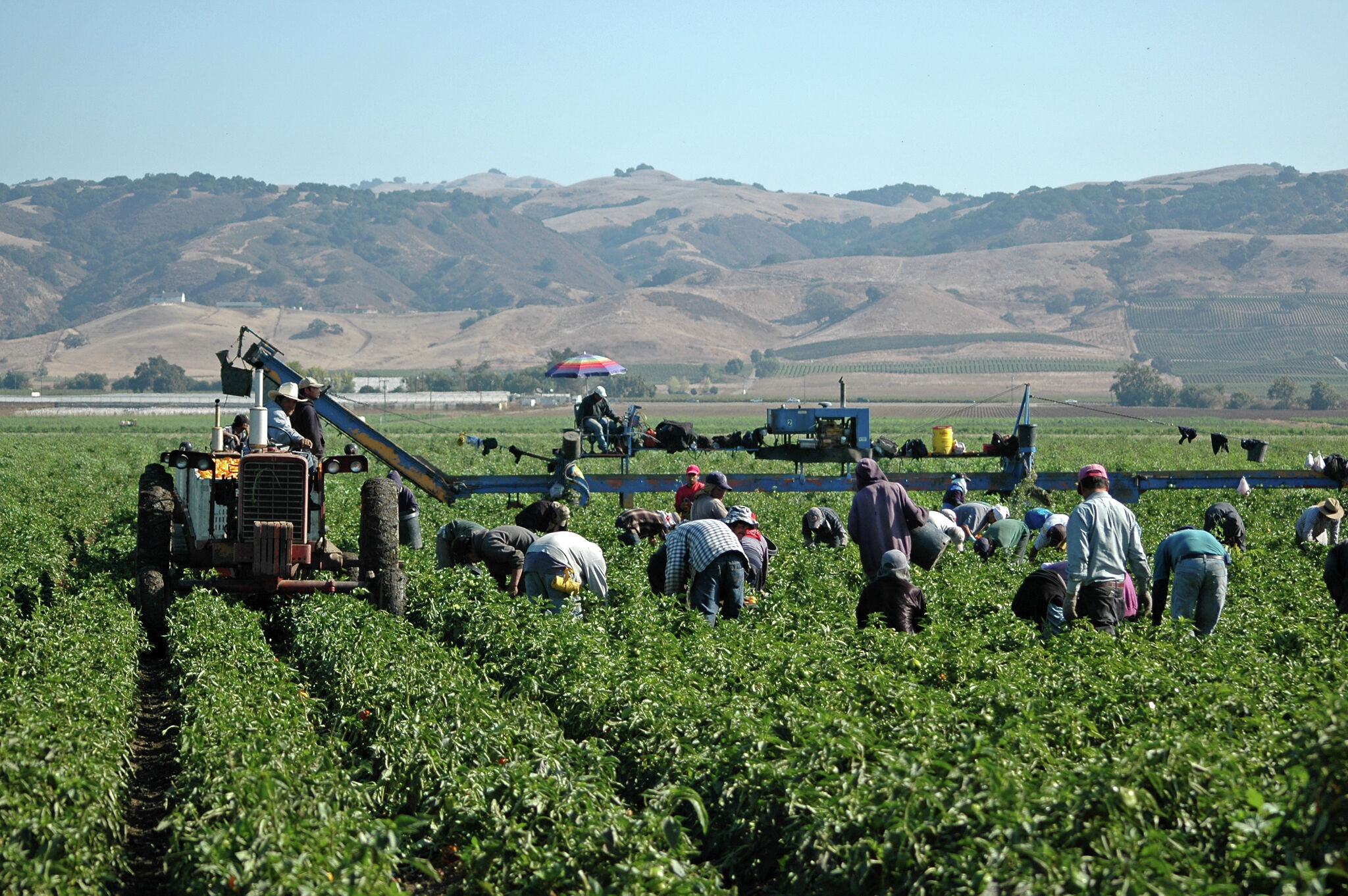 Toxic Herbicide Banned in 70 Countries Linked to Health Issues in California