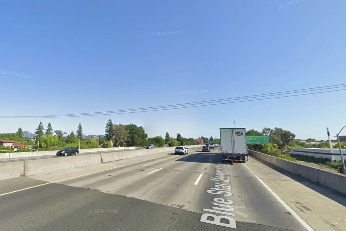 A pedestrian was killed in a hit-and-run on U.S. Highway 101 southbound near Steele Lane on Saturday, the California Highway Patrol said.