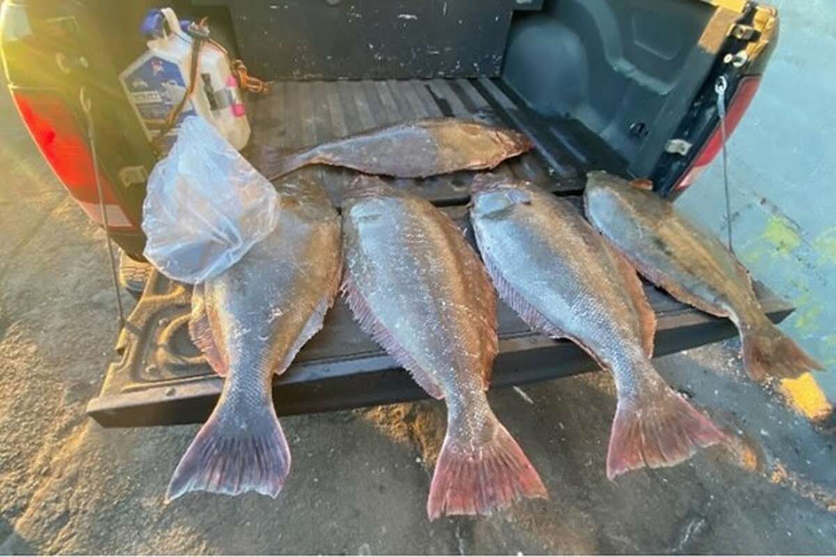 A fisherman was busted in San Francisco for attempting to hide thousands of pounds of illegal fish, the California Department of Fish and Wildlife in Dec. 2024.