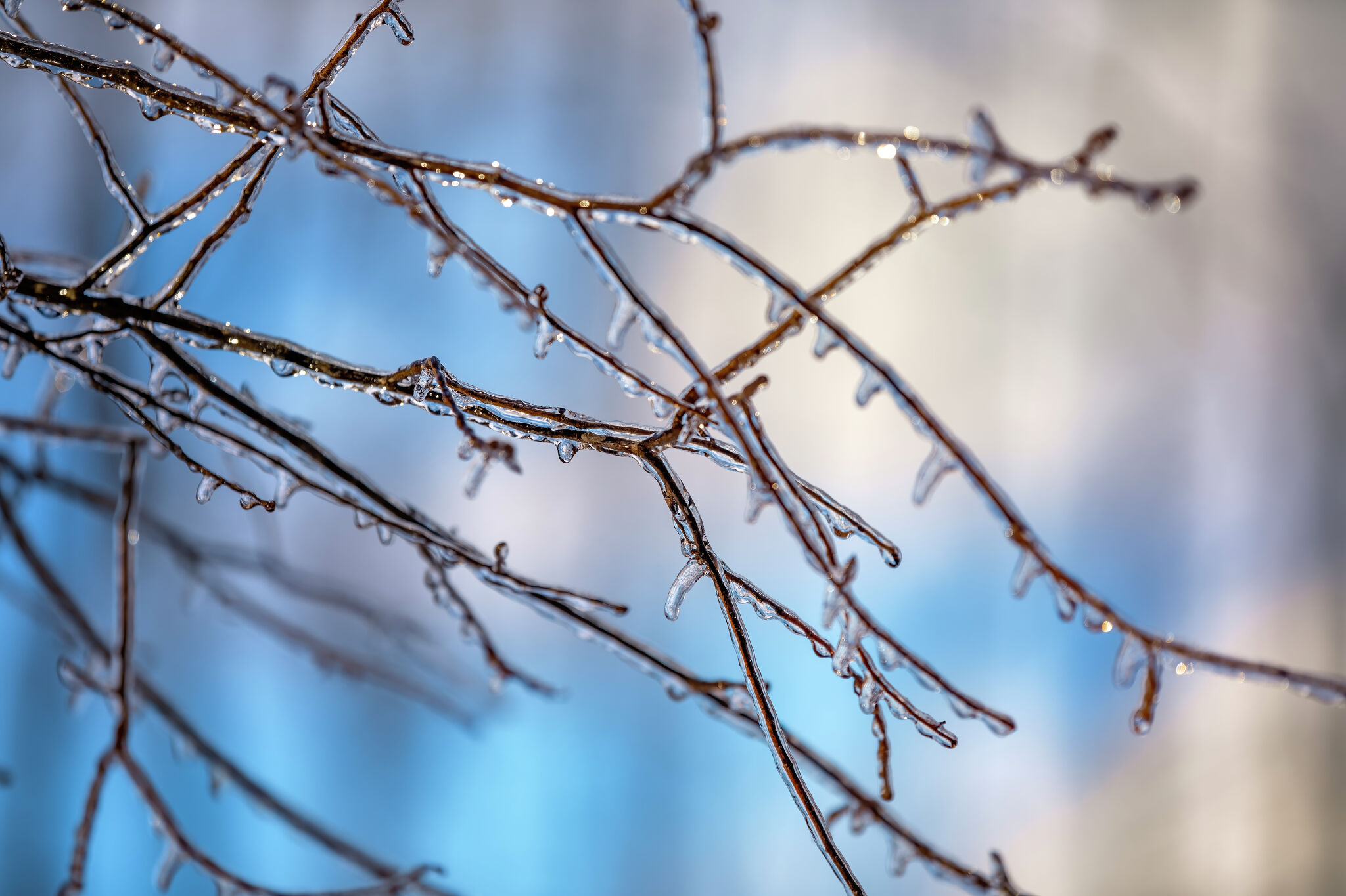 Weather Readiness Math Use Texas increases emergency readiness for winter weather