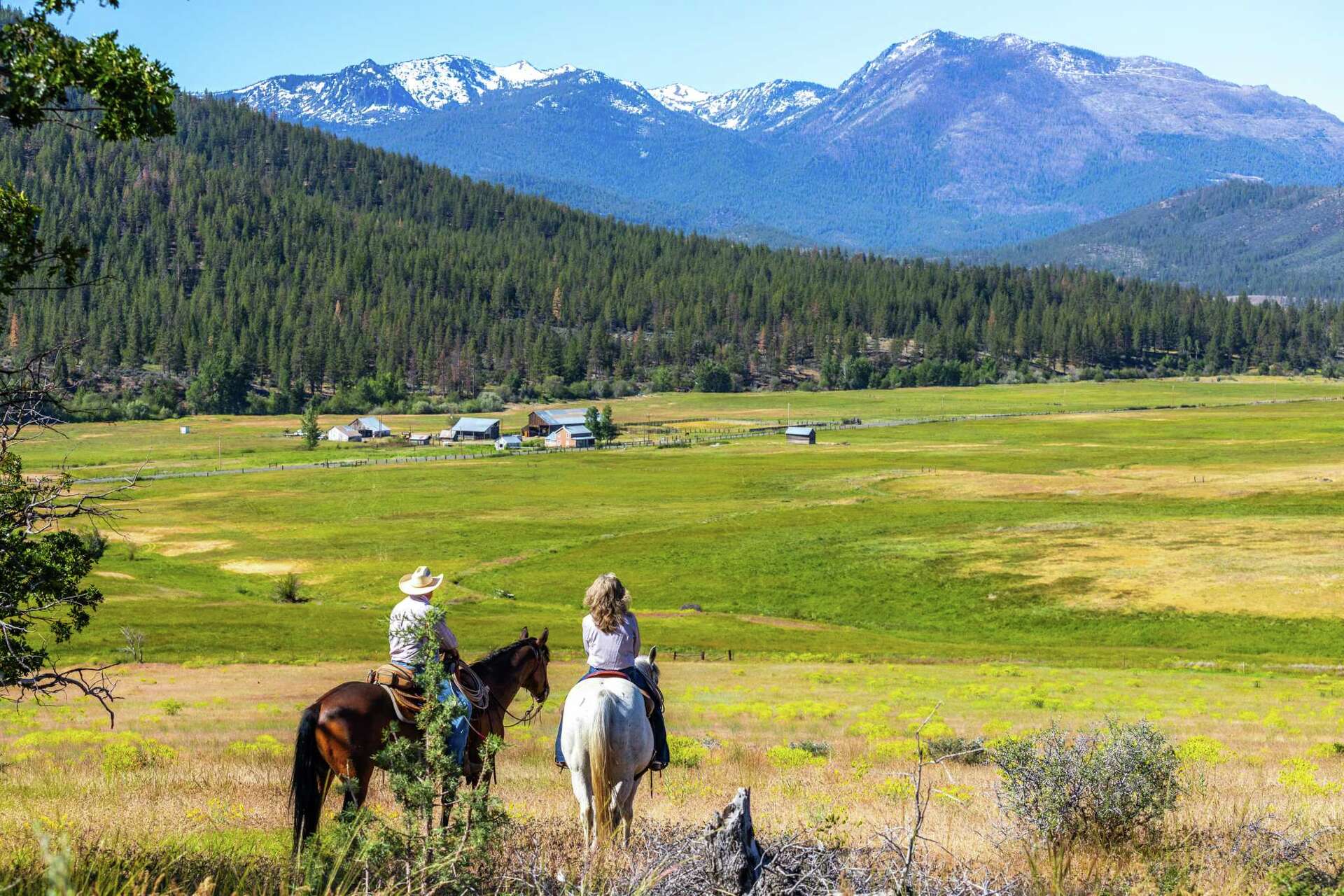 One of California’s oldest ranches, size of Manhattan, listed for sale