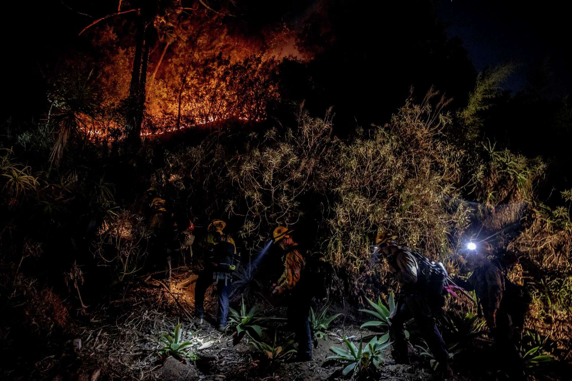 More Californians flee as new fire erupts in Hollywood Hills