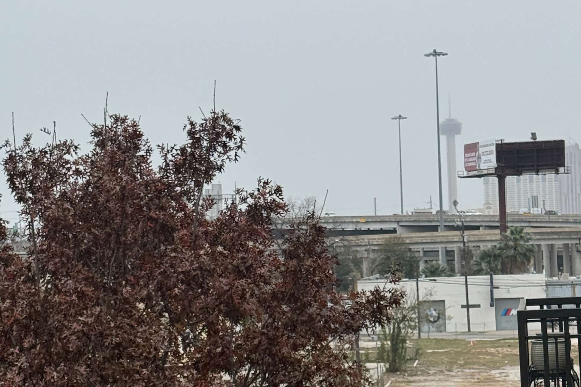 Extended hard freeze risk in San Antonio grows amid cold front
