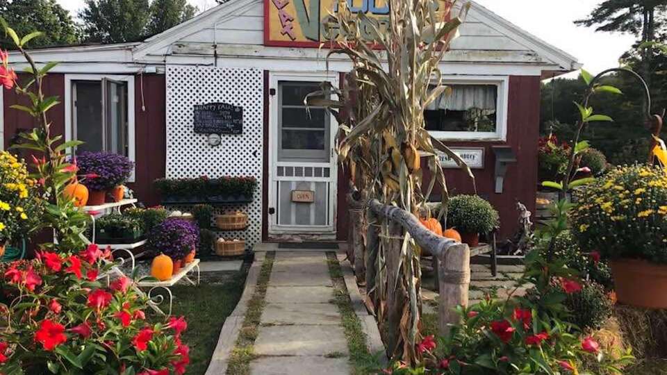 The Village Farm in Gaylordsville has undergone new ownership as Patti and Glenn Skok, owners of the pet care business Patti's Paws, have taken over the farm.