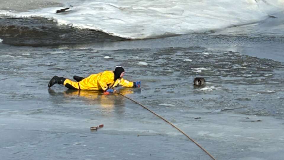 First responders rescued a goose that got stuck in the iceon the East River in Guilford Thursday morning. 