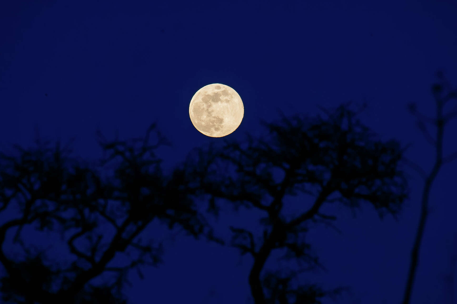 Here's when the first full moon of 2025 will be visible