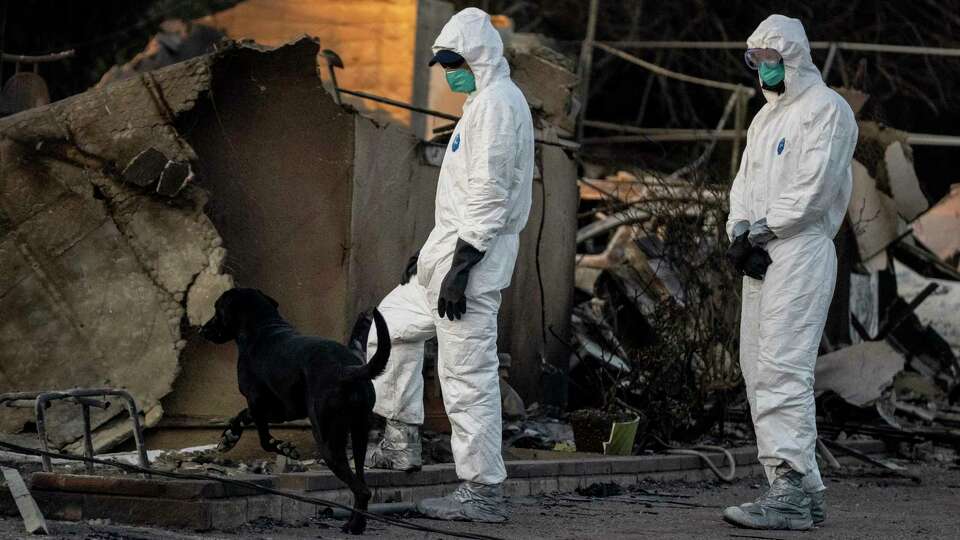 A search dog searches at a home destroyed by the Eaton Fire in Altadena, Calif., Saturday, Jan. 11, 2025.