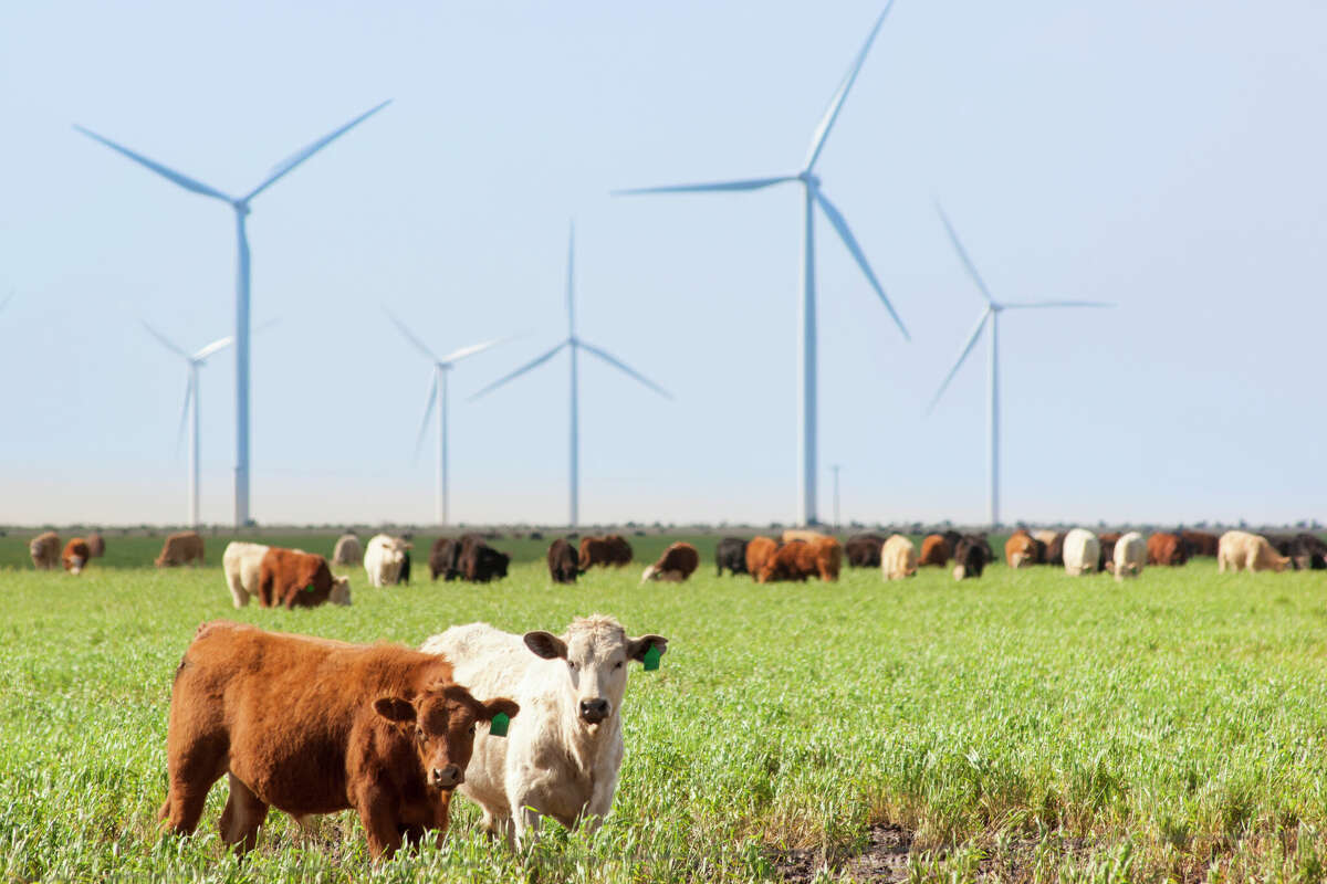 Texas is the U.S. leader in renewable energy generation, along with battery capacity, according to new data.