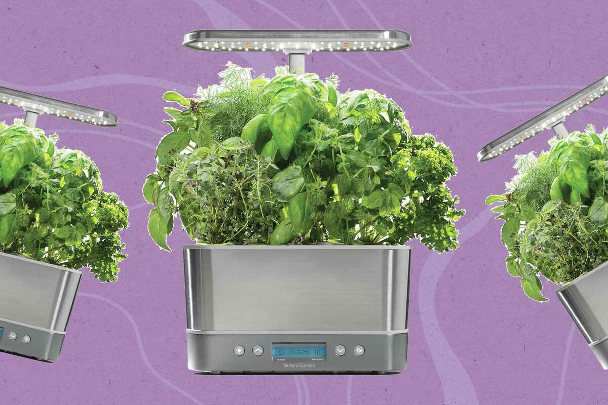 Get this AeroGarden Harvest Elite indoor garden for just $60 today.