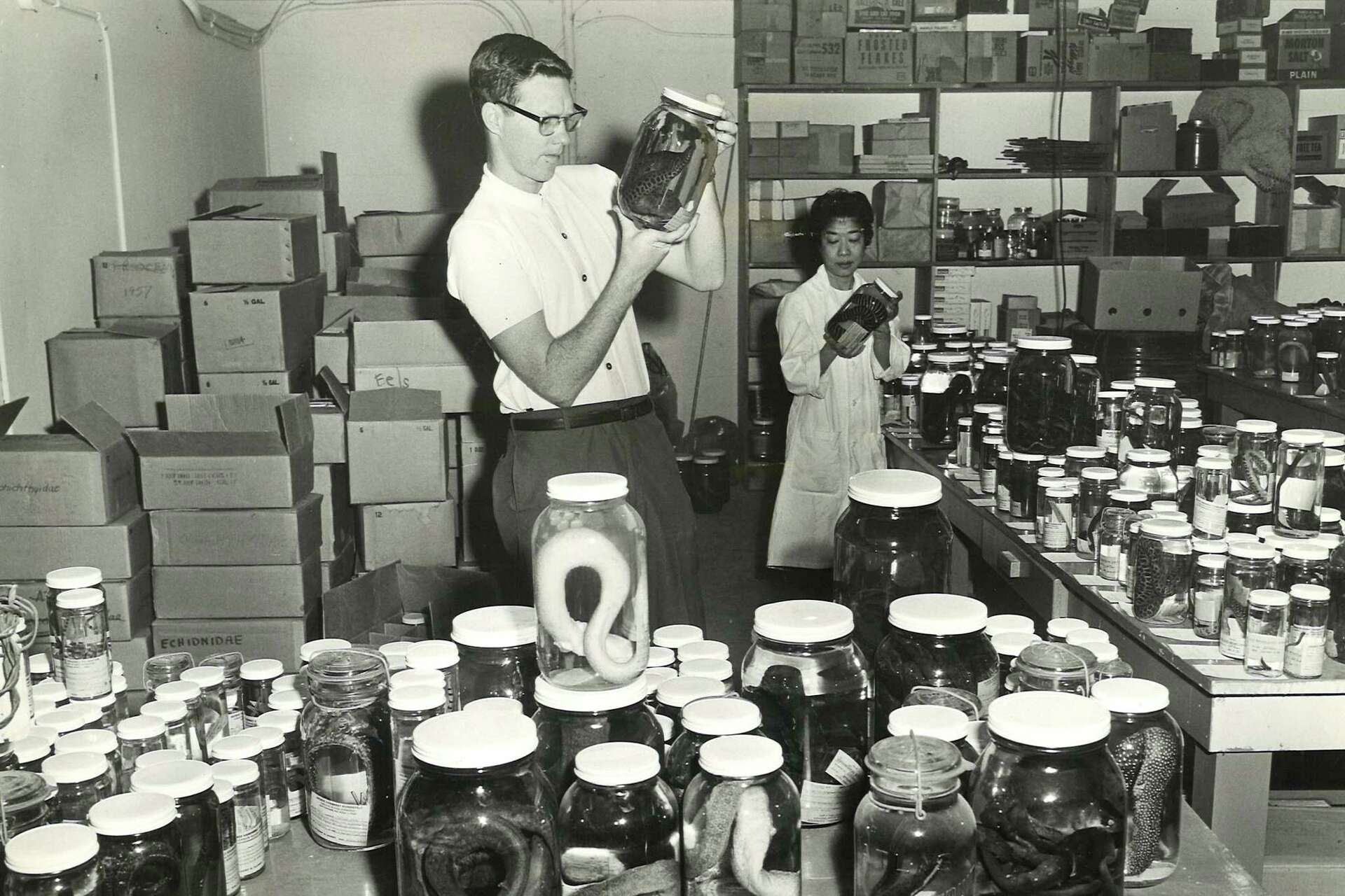 Bill Eschmeyer, developer of definitive fish database, dies at 85