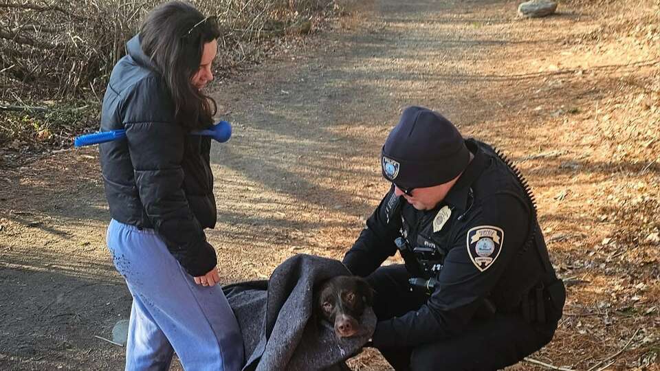 Fairfield police officer Nicholas Bay drying off a dog that fell through Lake Mohegan Sunday afternoon. 