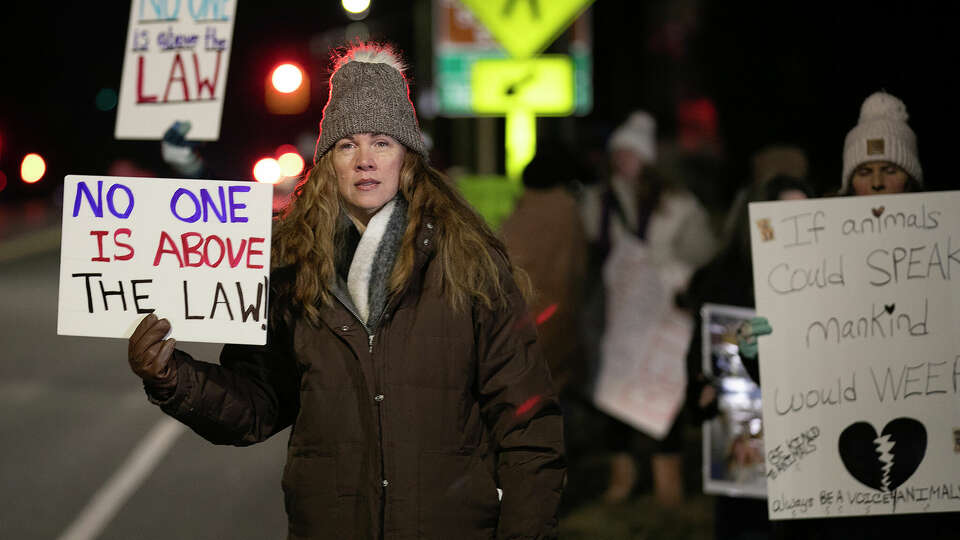 Protestors call for accountability with Cheshire Animal Control's treatment of 32 dogs