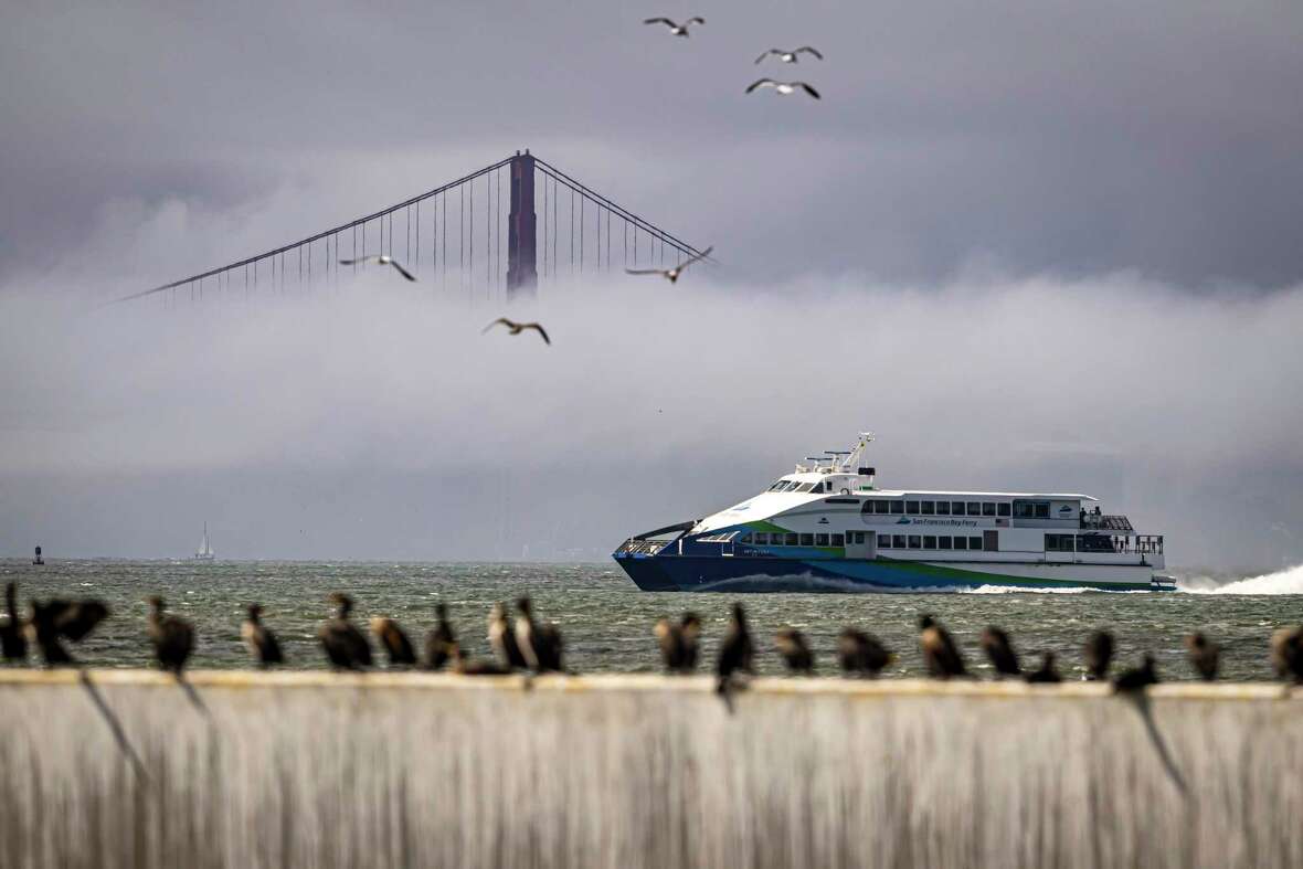 The San Francisco Bay Ferry passes by cormorants on a breakwater as clouds and fog shroud the Golden Gate Bridge in San Francisco Bay as seen from Treasure Island in San Francisco, on Wednesday, Sept. 18, 2024,