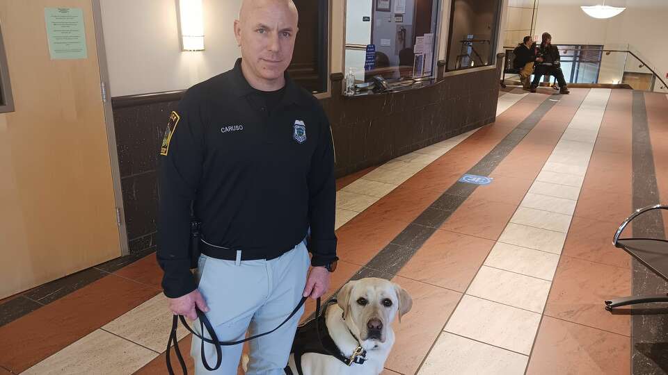 Beacon, a community engagement dog, is East Hartford police's newest member of the force