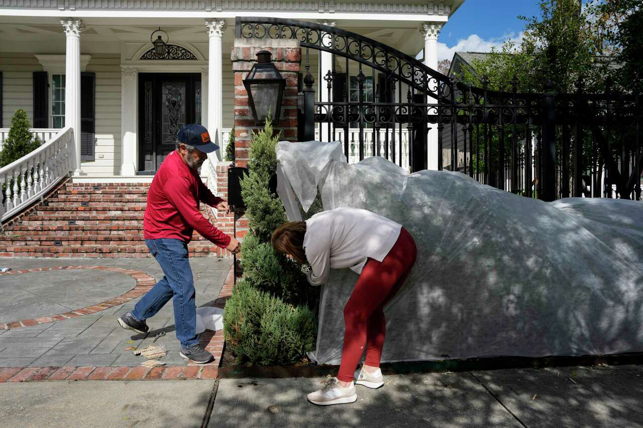 Jackie Richard and husband Mark Richard covering their plants with plant protection fabric ahead of the winter storm Saturday, Jan. 18, 2025 in Houston. The Richards lost their plants during a freeze a couple years ago, and they replanted the plants last year