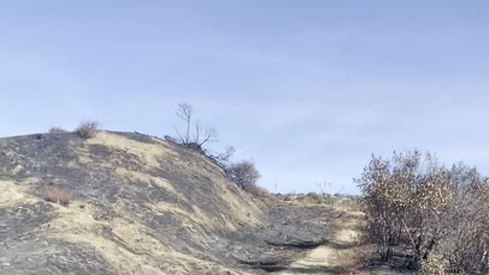 He hiked through Jan. 1 burn scar two days before Palisades Fire erupted