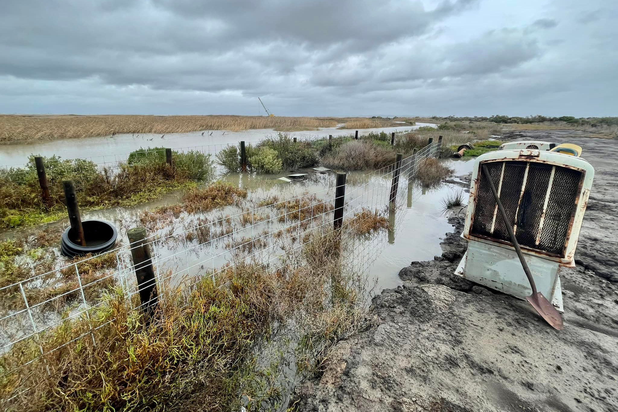 The war over a private island in the San Francisco Bay