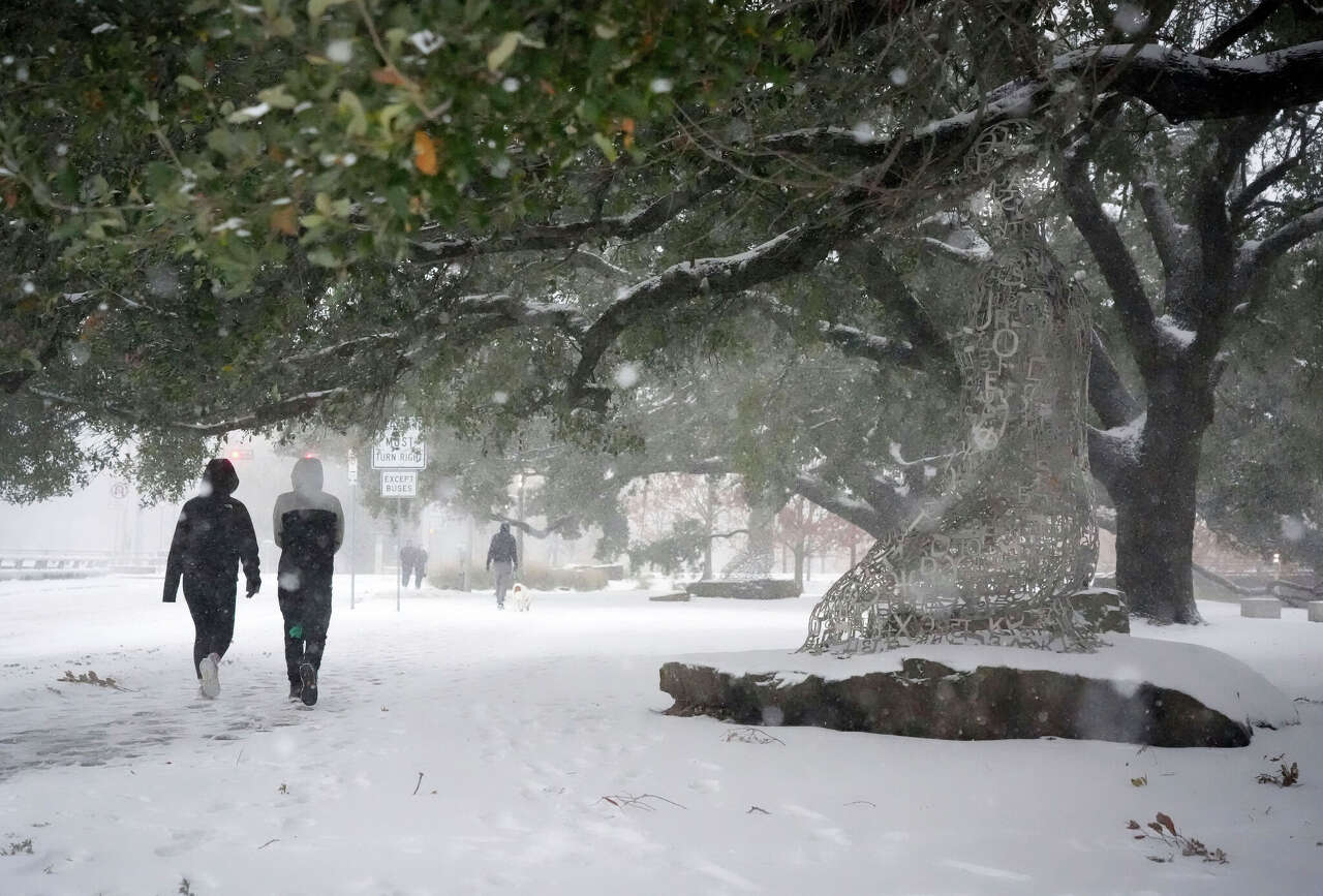 People walk under trees in snow near the Tolerance statues in Buffalo Bayou Park on Tuesday, Jan. 21, 2025 in Houston. (Jill Karnicki/Houston Chronicle via AP)