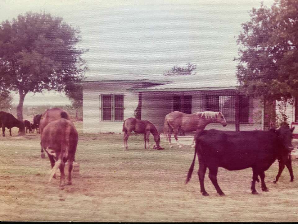 TxDOT expansion threatens ranch that survived Great Depression