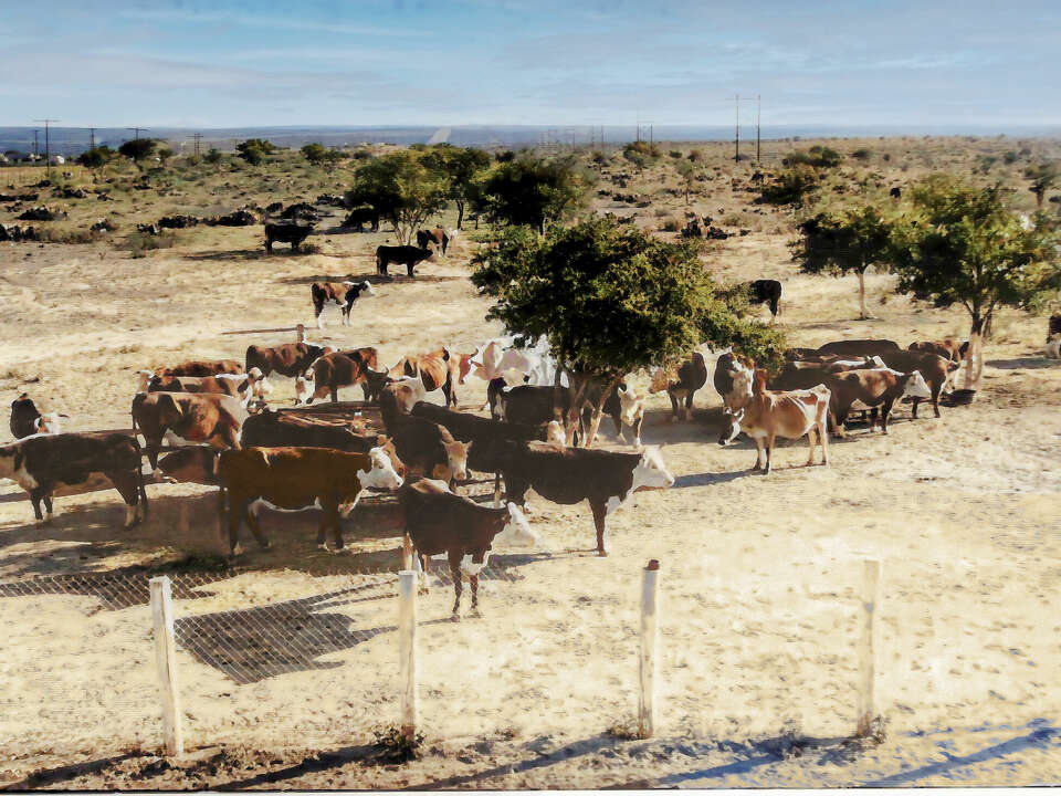 TxDOT expansion threatens ranch that survived Great Depression